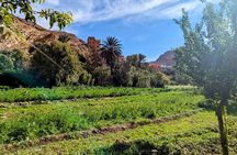 Fes To Marrakech : 3 Days Tour Via The Desert Of Merzouga & Camel