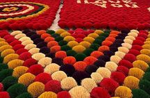 Incense Village Small Group Of 9 Tour From Hanoi to Ninh Binh