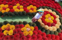 Incense Village Small Group Of 9 Tour From Hanoi to Ninh Binh