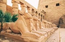 1 Day Luxor Tour by Bus