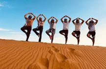 Morning Desert Safari with Camel Ride Falcon Photos Private