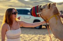 Abu Dhabi Evening Desert Safari - Dune bashing Camel ride and BBQ