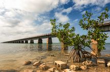 Ft. Lauderdale to Key West Day Trip Quality Day Tours