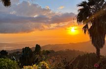 Exotic Blue Mountain Coffee Tour