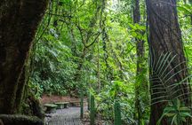  La Fortuna's 3 Essentials Private Tour