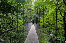  La Fortuna's 3 Essentials Private Tour