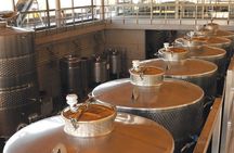 Private Casablanca Valley De Luxe Wine Tour