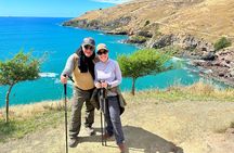 Private Guided Full-Day Godley Head Coastal Hike with Picnic