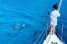 Waikiki small group turtle snorkeling & sailing 