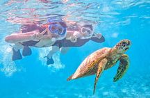  Snorkeling Activity in Okinawa Miyako Japan