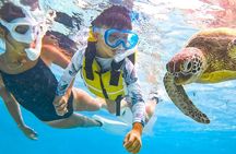  Snorkeling Activity in Okinawa Miyako Japan