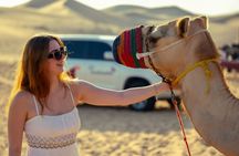 Private Dune Bashing in Abu Dhabi - Morning Desert Safari