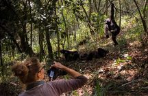3 Day Uganda Gorilla Adventure