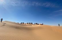 Desert tours and adventurous camel trekking through the Sahara