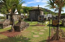 Half-day Private and Guided Excursion of the west of Reunion