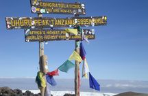 7 Day Kilimanjaro Machame climb 