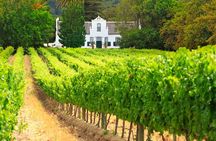 Wine Route Half Day Tour in Cape Town