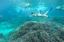 Swim With Manta Rays Lembongan Snorkeling and Day Tour