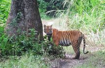 8 Days Tour in Nepal (Accommodation at 5 Star Hotel)