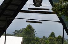 7 Day Kilimanjaro Machame climb 