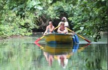 Dominica: Indian River Discovery & Beach stop.