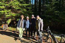 Experience the Beauty of Vancouver’s Forests by Bike/E-Bike