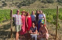 Antequera - Dolmens & Vineyard Experience