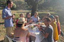 Antequera - Dolmens & Vineyard Experience