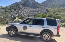 Antequera - Dolmens & Vineyard Experience