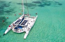 Full Day Island Tour in Isla Saona from Punta Cana
