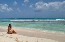 Full Day Island Tour in Isla Saona from Punta Cana