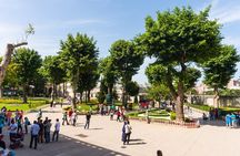 Private Tour of Istanbul Old City, Hagia Sophia & Topkapi