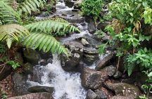 Puerto Rico: El Yunque Sightseeing Half-Day Tour w/Transfer