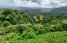 Puerto Rico: El Yunque Sightseeing Half-Day Tour w/Transfer