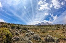 8-Day Hiking Tour Lemosho Route in Tanzania