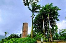 Puerto Rico: El Yunque Sightseeing Half-Day Tour w/Transfer