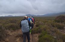 8-Day Hiking Tour Lemosho Route in Tanzania