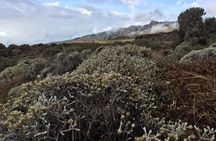 5 Day Marangu Route