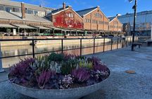 2 Hour City Walk through Trondheim