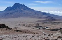 7-Day Walking Tour in Machame Route