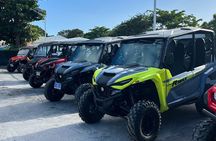 UTV / ATV Guided Tour in Philipsburg
