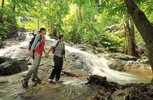 Batu Caves & FRIM Nature Walk – A Scenic UNESCO Heritage Tour