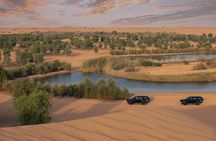 Luxury Desert Safari with Michelin-Curated Fine Dining Experience