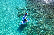 Miyako Two Activities in Half Day SUP and Sea Turtle Snorkeling
