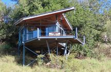 4 Day Greenfire Game Lodge Safari