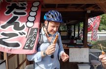 3.5h Bike Tour in Hida