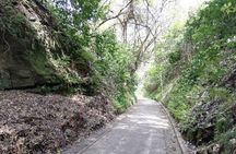 Private Tour of North Kamakura Temples with licensed guide
