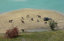 The Horse ride at the Suburbs of Fez (with lunch) 