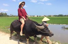 Hoi An Rice Farm Tour and Buffalo Riding with Local Home Meal