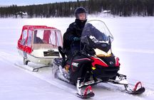 Northern Lights Tour Sleigh Ride